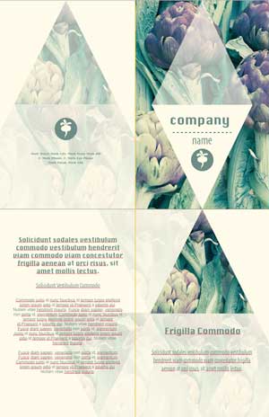 Brochure Printed by Minuteman Press Spencer Street